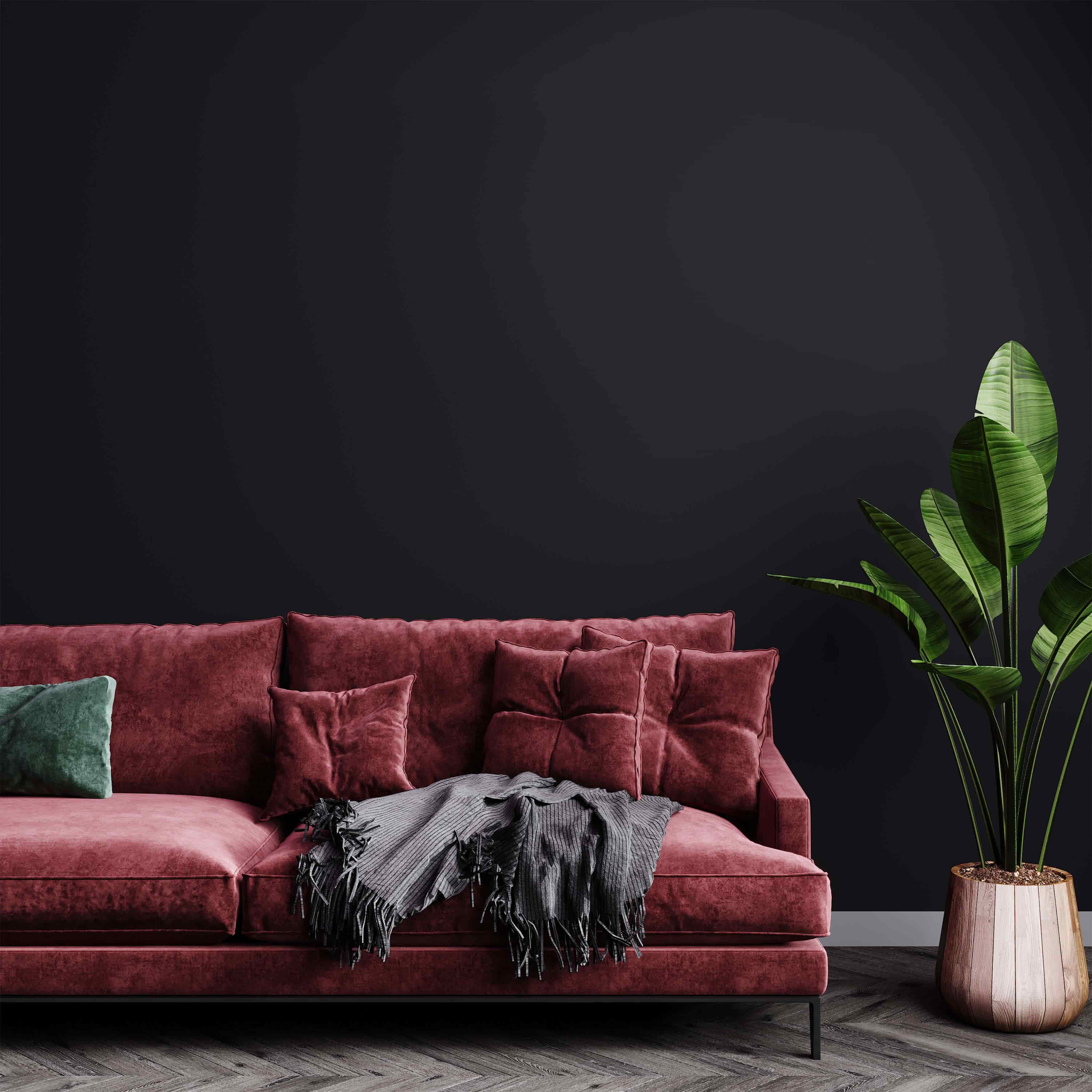 interior design showcase
